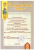 Региональный уровень_8