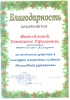 Уровень ДОУ_2